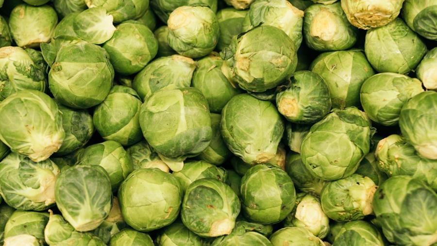 Choux de Bruxelles : mal-aimés à tort