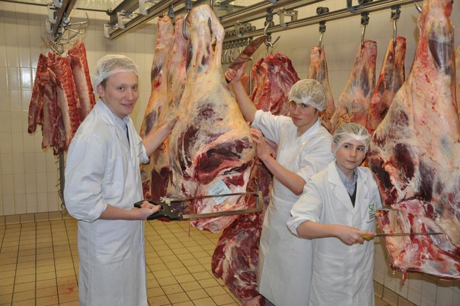 Apprentissage dual, quel interet pour le boucher-traiteur?