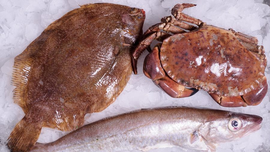Vis van het seizoen: wijting, tongschar en noordzeekrab