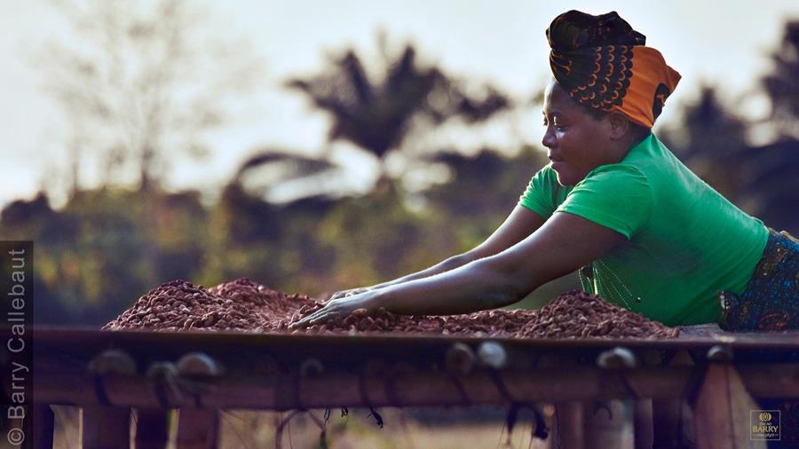 Conseils pour stimuler la vente de chocolat d'origine