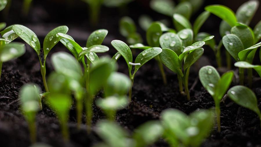 Driemaal innovatie in voedingsverwerking