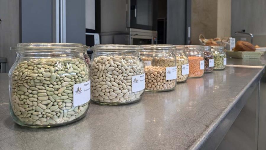 Peulvruchten en afgeleiden als beloftevolle ingrediënten