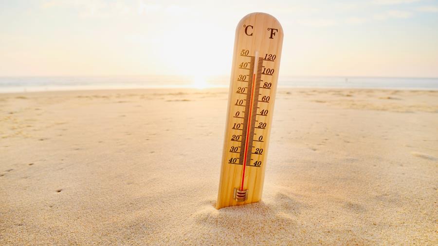 Huisartsen leven op grote (ecologische) voet