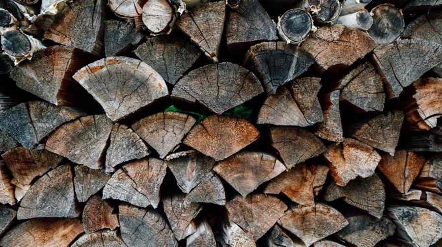 Hoe je brandhout kiezen en opslaan